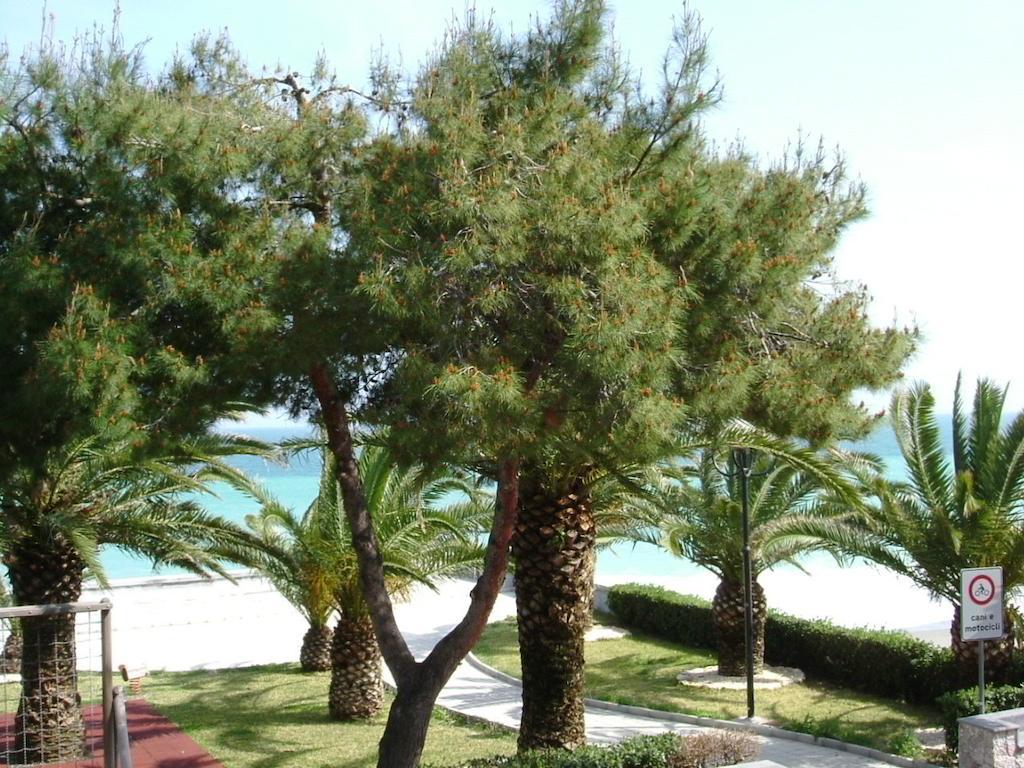Taormina Beach House Маццео Номер фото